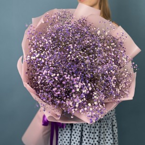 15 фиолетовых гипсофил